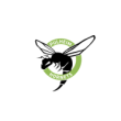 PULHEIM HORNETS