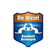 TSV Bayer Dormagen Handball GmbH