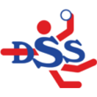 HV DSS