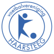 VV HAARSTEEG