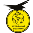 SV DUIVELAND