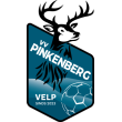 SVO VV PINKENBERG