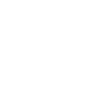 SV DE DEM