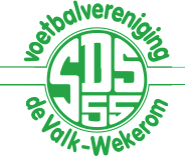 SDS '55